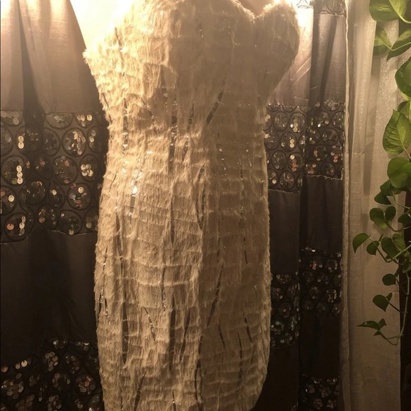 PasCucci Dress - Picture 2 of 13